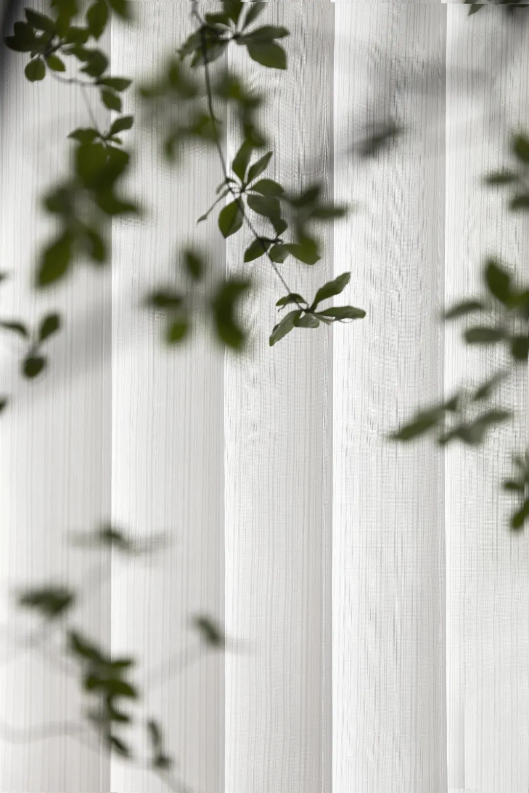 看得见风景的房子丨中国上海丨盛莉娜空间设计-9