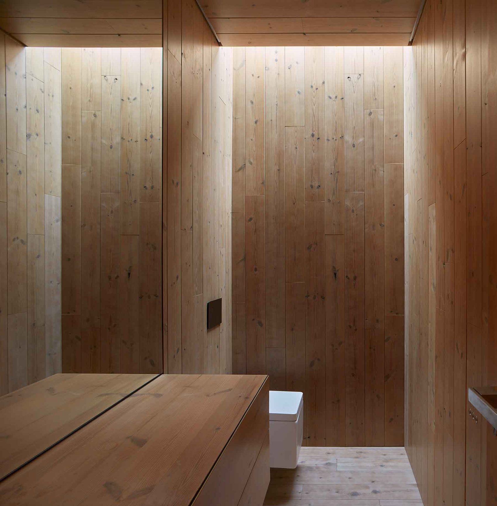 葡萄园小木屋，西班牙 / Ramón Esteve Estudio-40