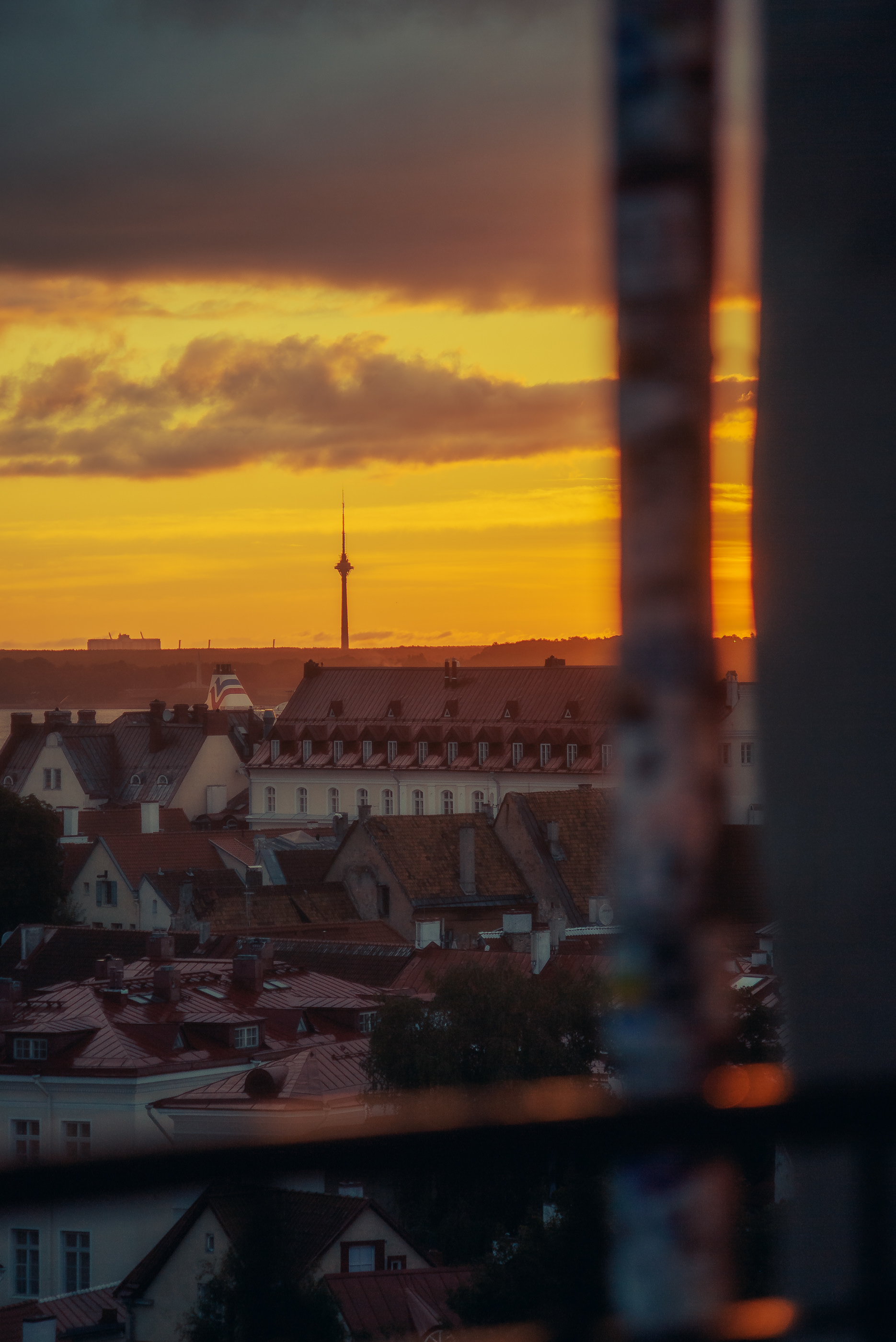 Tallinn Old Town 室内设计-3