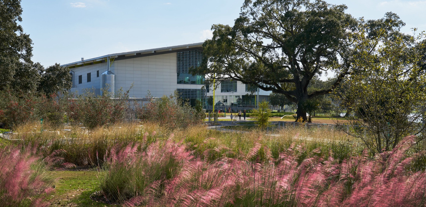 路易斯安那州儿童博物馆丨美国丨Mithun（建筑,室内设计）等多家机构-34