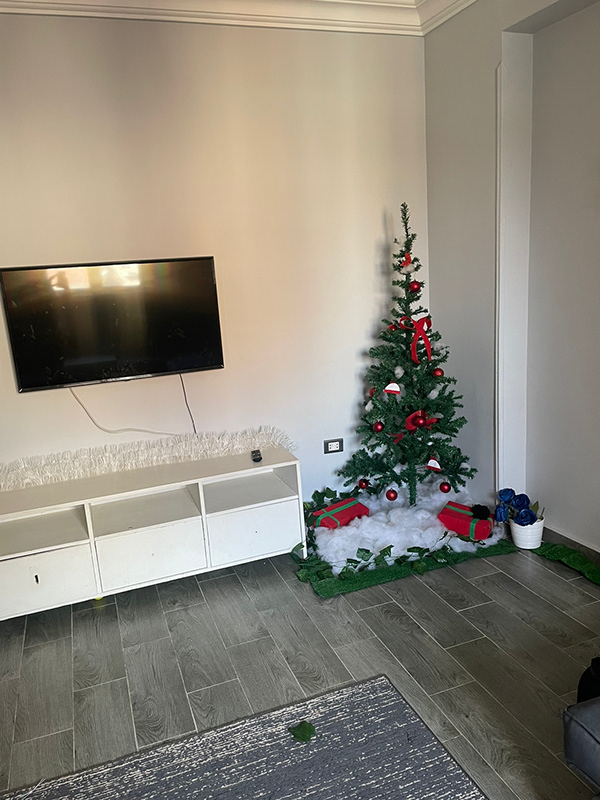 LIVING ROOM - REAL & RENDER Interior Design-12