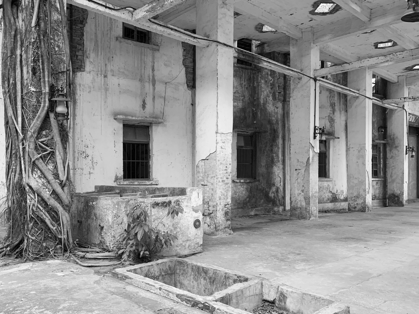 森野长廊丨中国惠州丨BDSD吾界设计-120