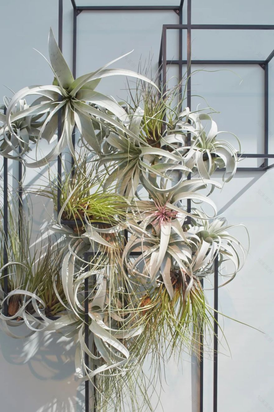 伦敦顶级花园豪宅 Wardian | 几何大胆线条与翠绿自然的完美融合-68