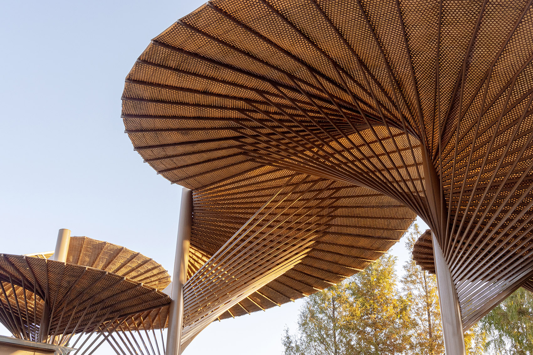 青山学堂丨中国杭州丨MOMENTUM建筑设计事务所-111