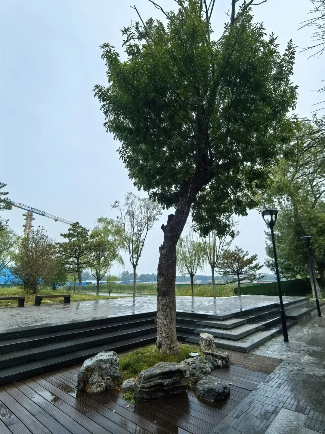 中建科工：这些小鸟在乎-11