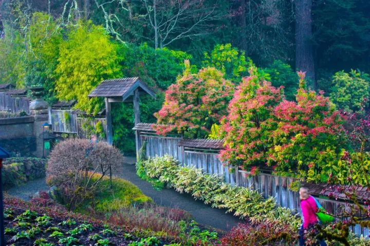 世界上最大的私家花园,迄今已有116年历史!-93
