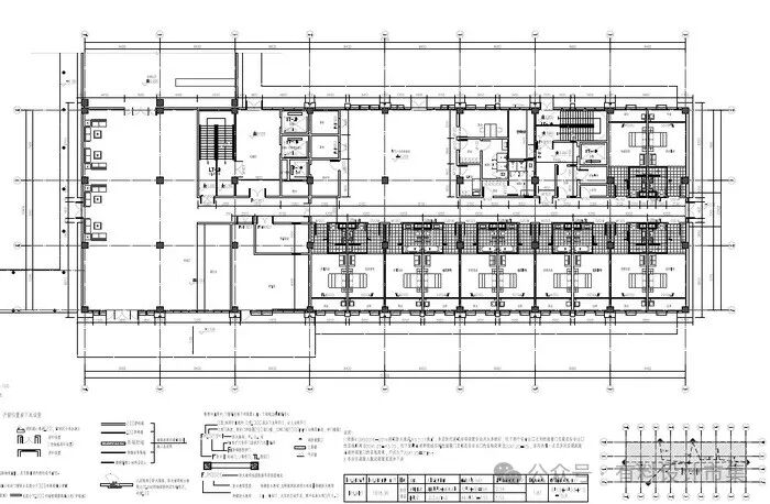 医养融合，怡然自得-18