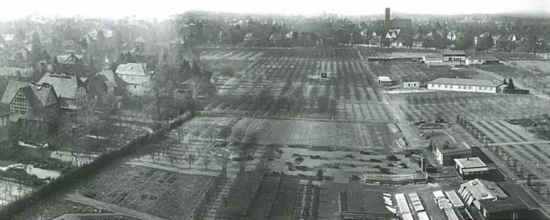 自由生长 | 柏林自由大学建筑解读-62