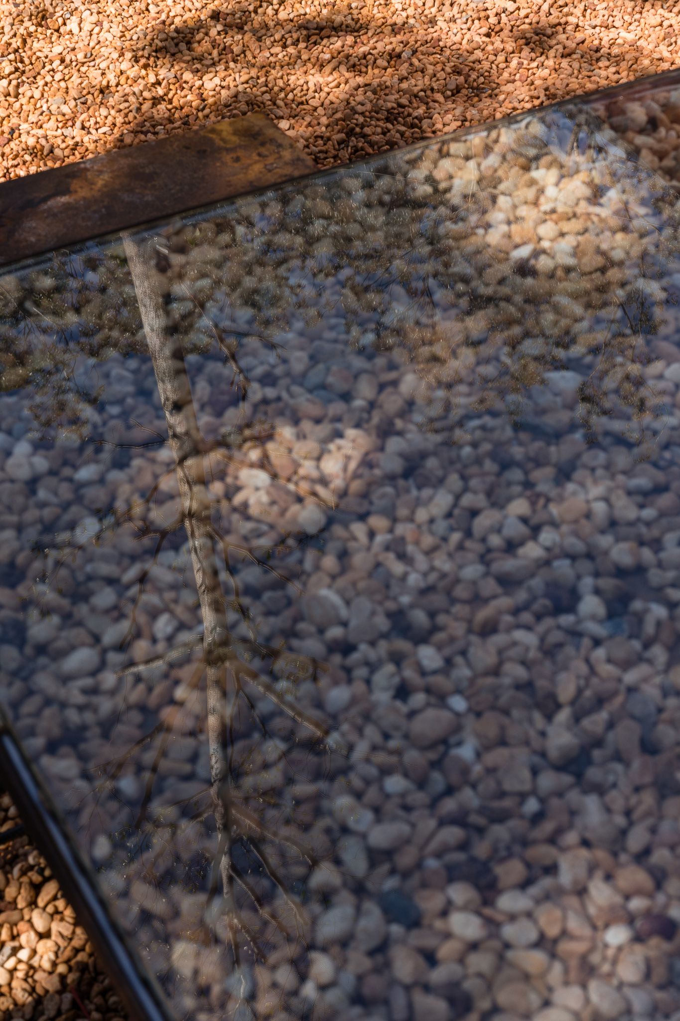 山餐厅 或 雅姆餐厅 或 亚姆餐厅-103