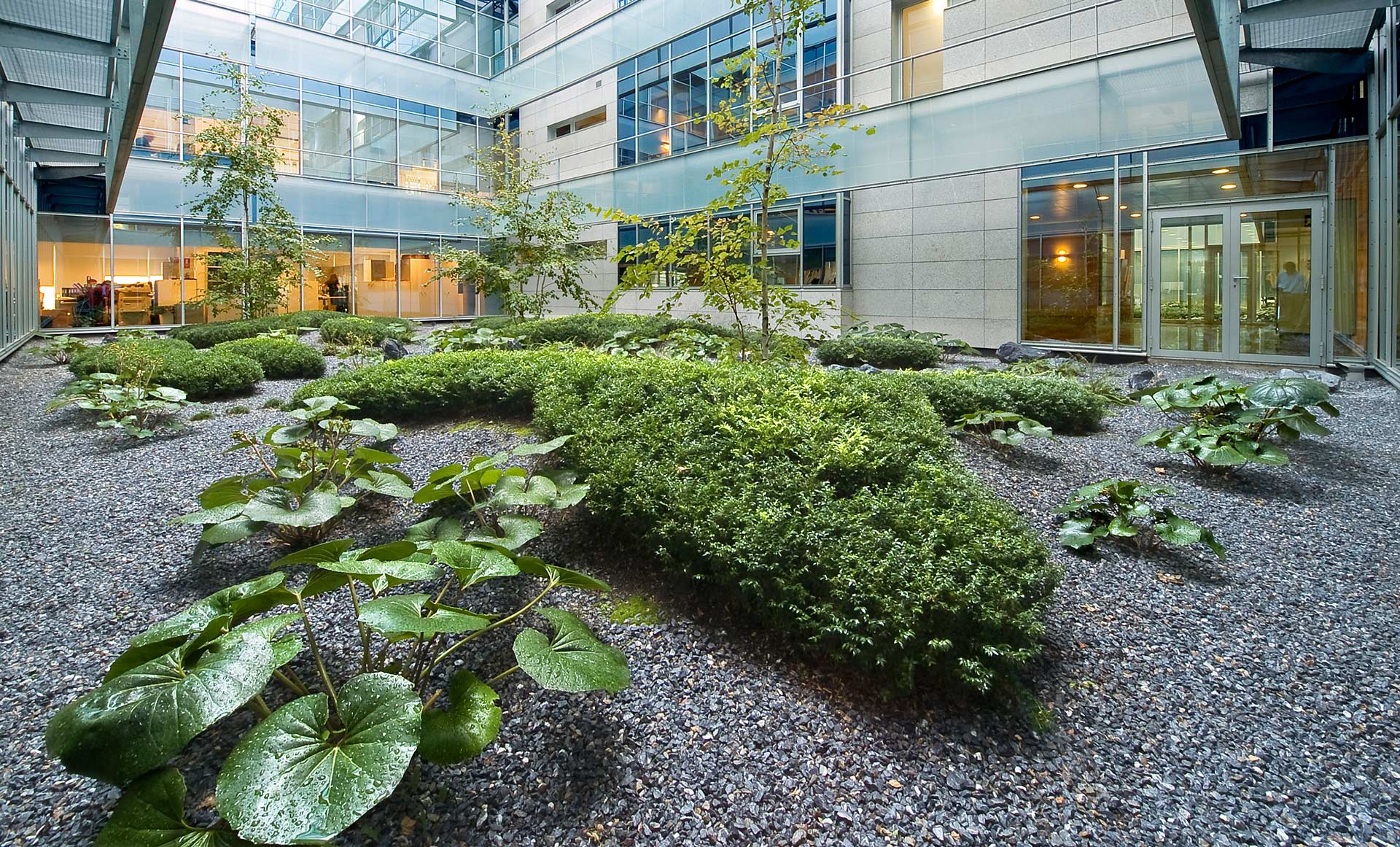 Madrid 办公大楼庭院花园 · 有机自然主义的设计实践-0