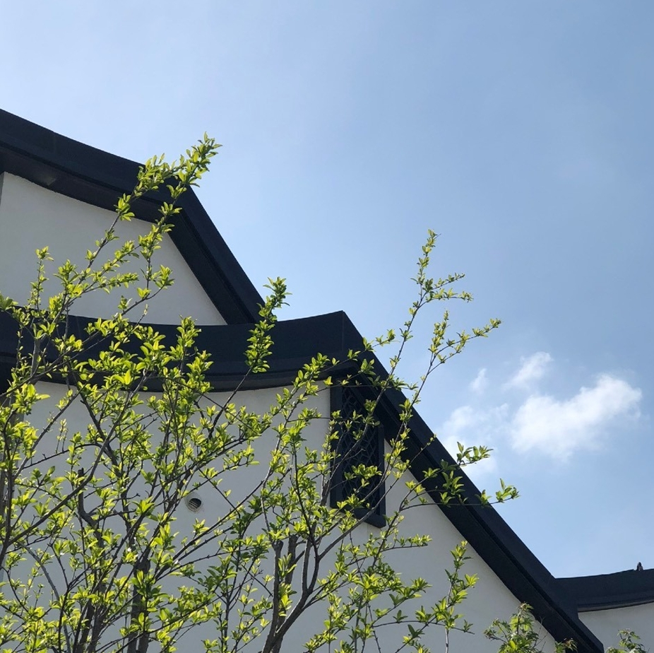 上海城开云外别墅·寻觅丨中国上海丨炘儒设计SHINDESIGN-5