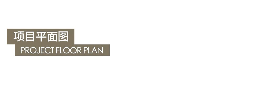 新作｜大卫装饰：素影之下，绮境漫游-37