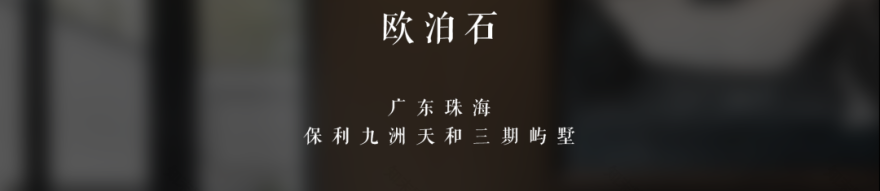 逆水行舟,再攀高峰——SNP 2020 年度回顾-48