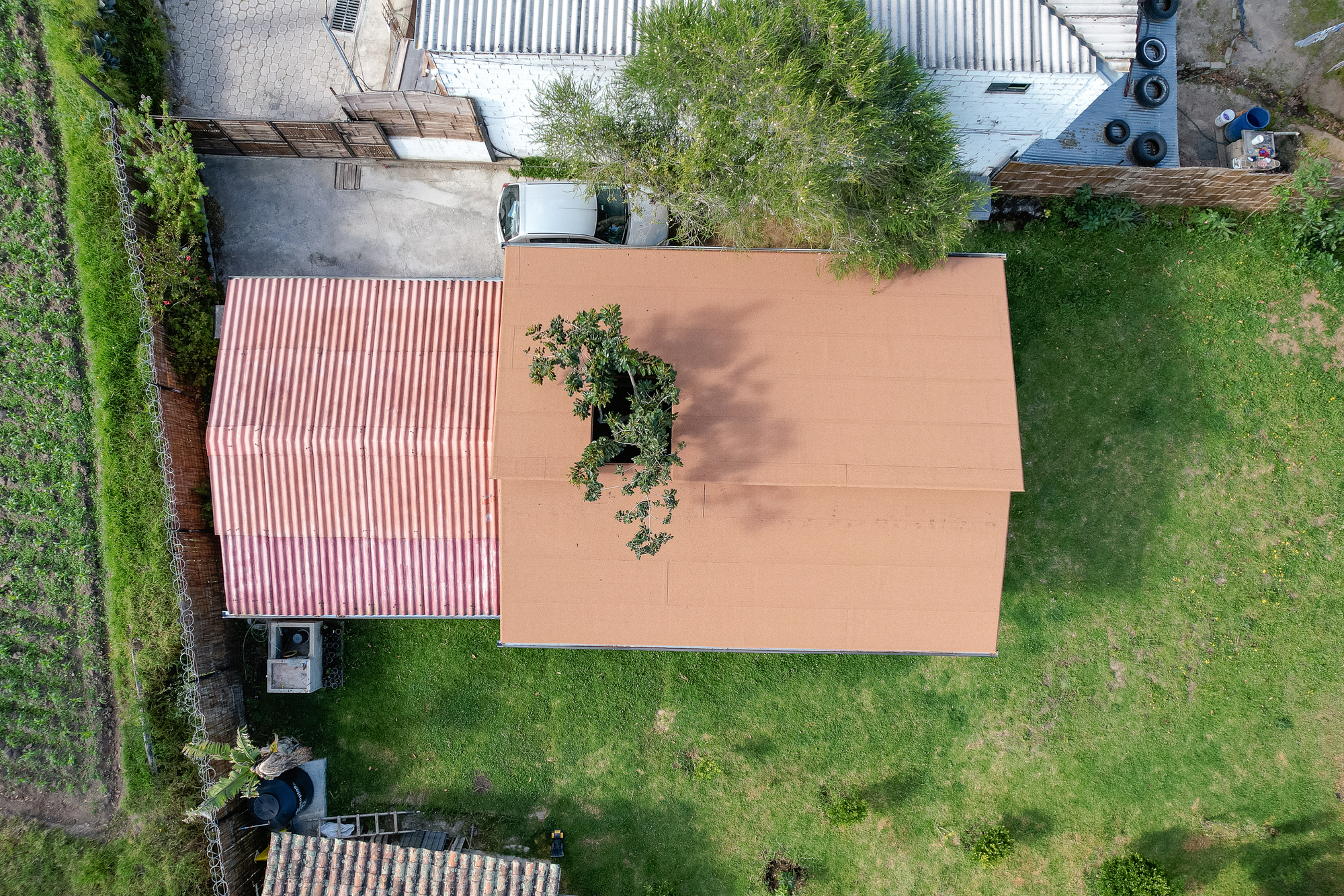 瓜博屋丨厄瓜多尔丨Ese Colectivo-29