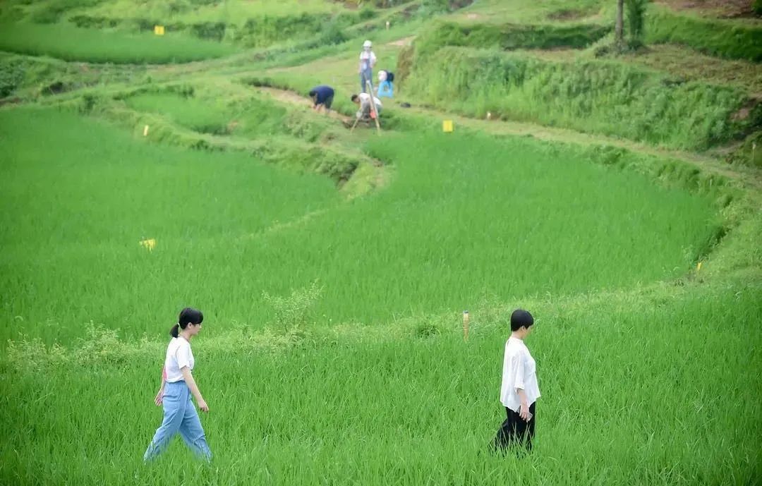 蓝城两江·田园牧歌——现代田园生活的新诠释-82