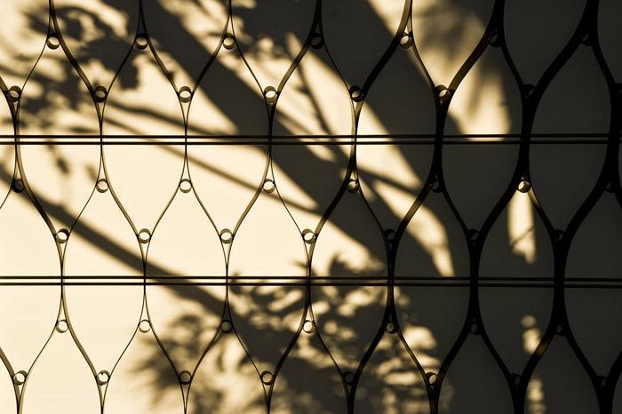 惠灵顿动物园，新西兰 / Assembly Architects Limited-32