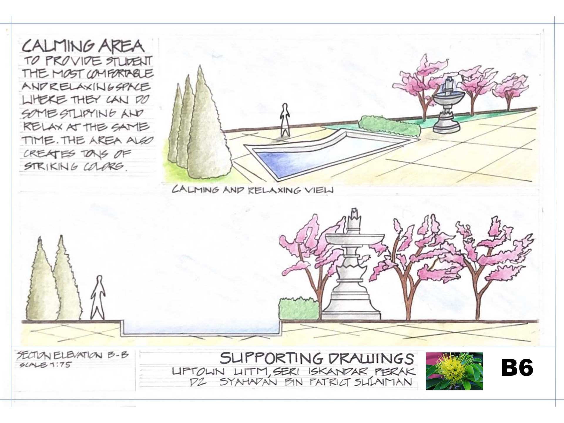 SITE DESIGN PROCESS-2