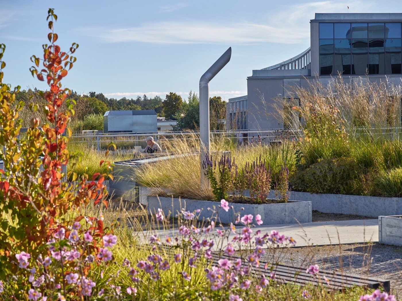 瑞典阿尔巴诺校园-18