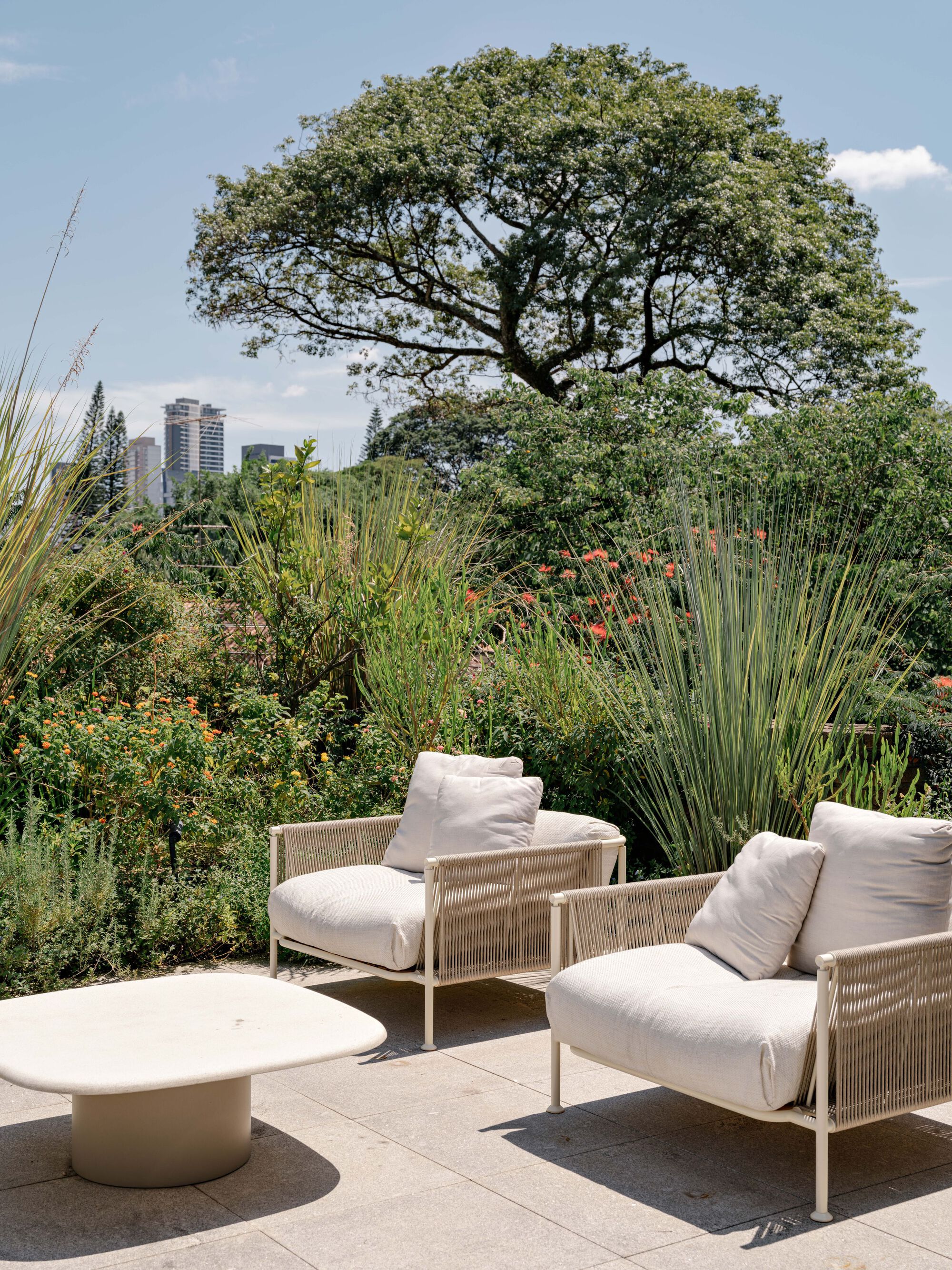 丨巴西圣保罗丨Felipe Hess Arquitetos-54