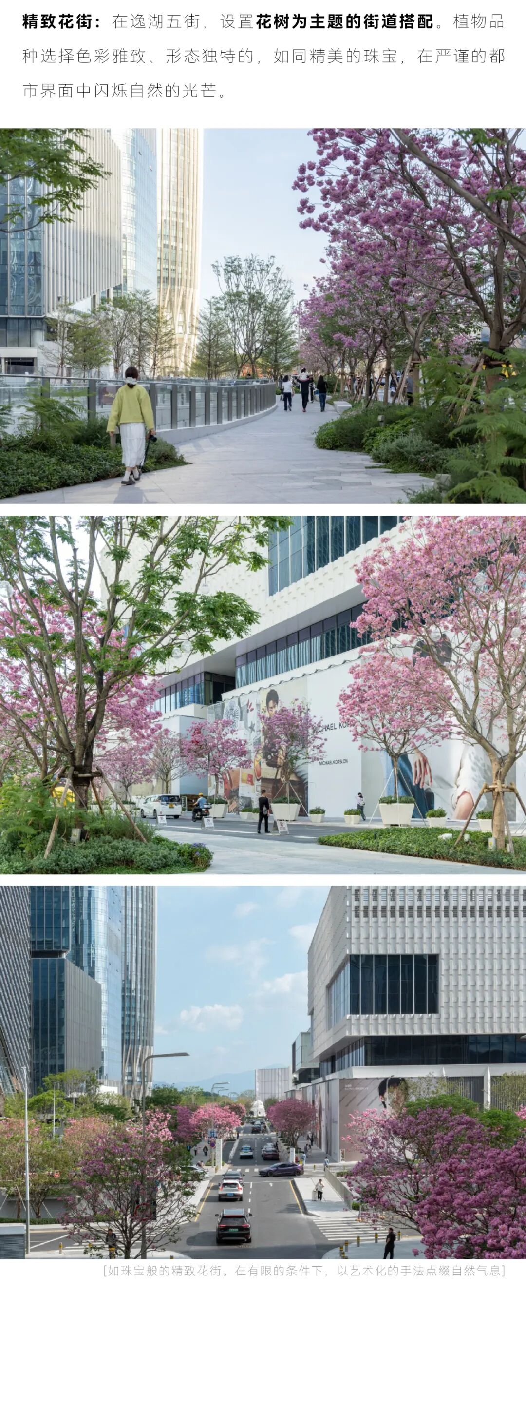 深圳湾万象城二期 丨中国广东深圳丨iPD澳洲艺普得-19