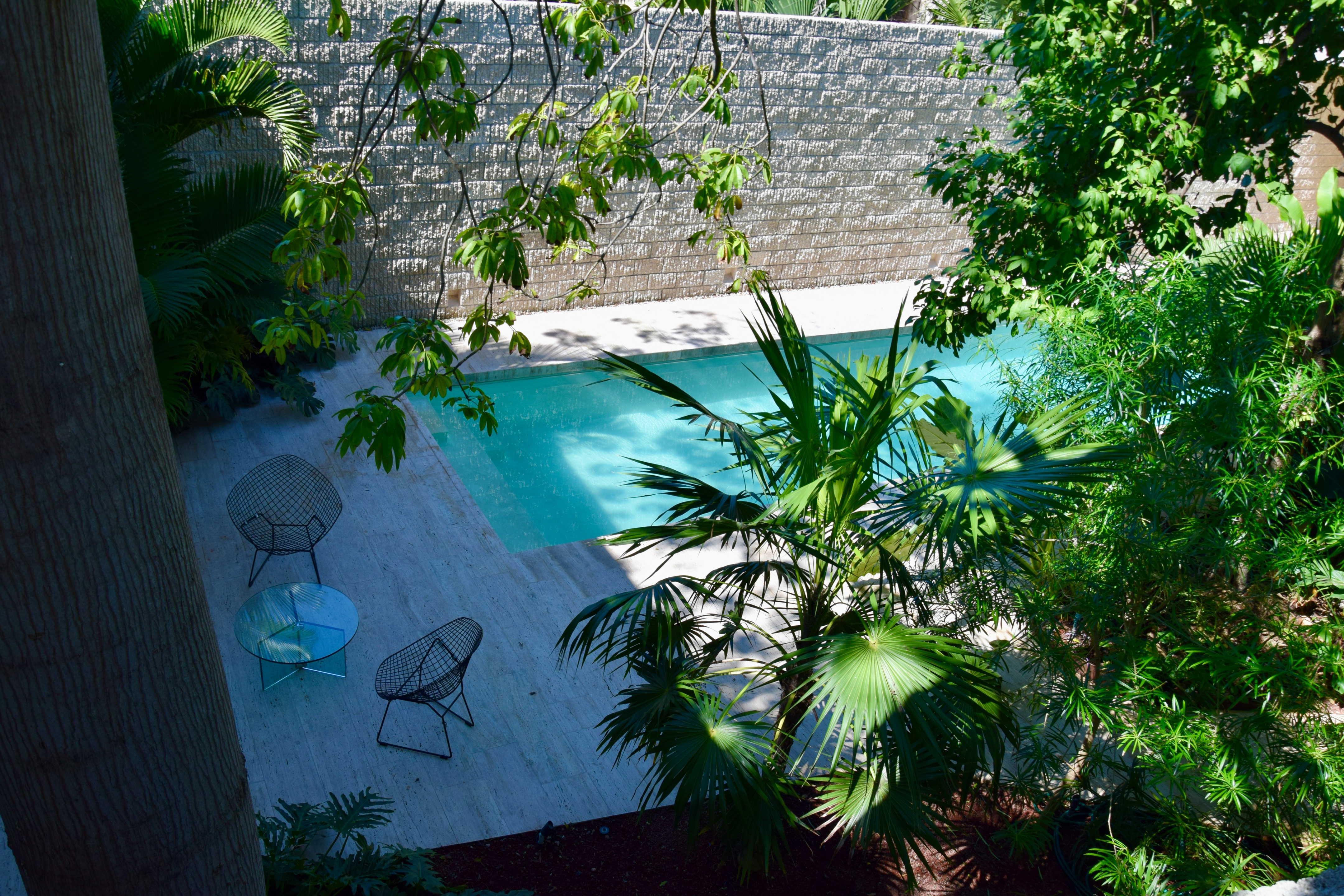 墨西哥 La Tropical · 殖民地外观下的现代绿洲-18