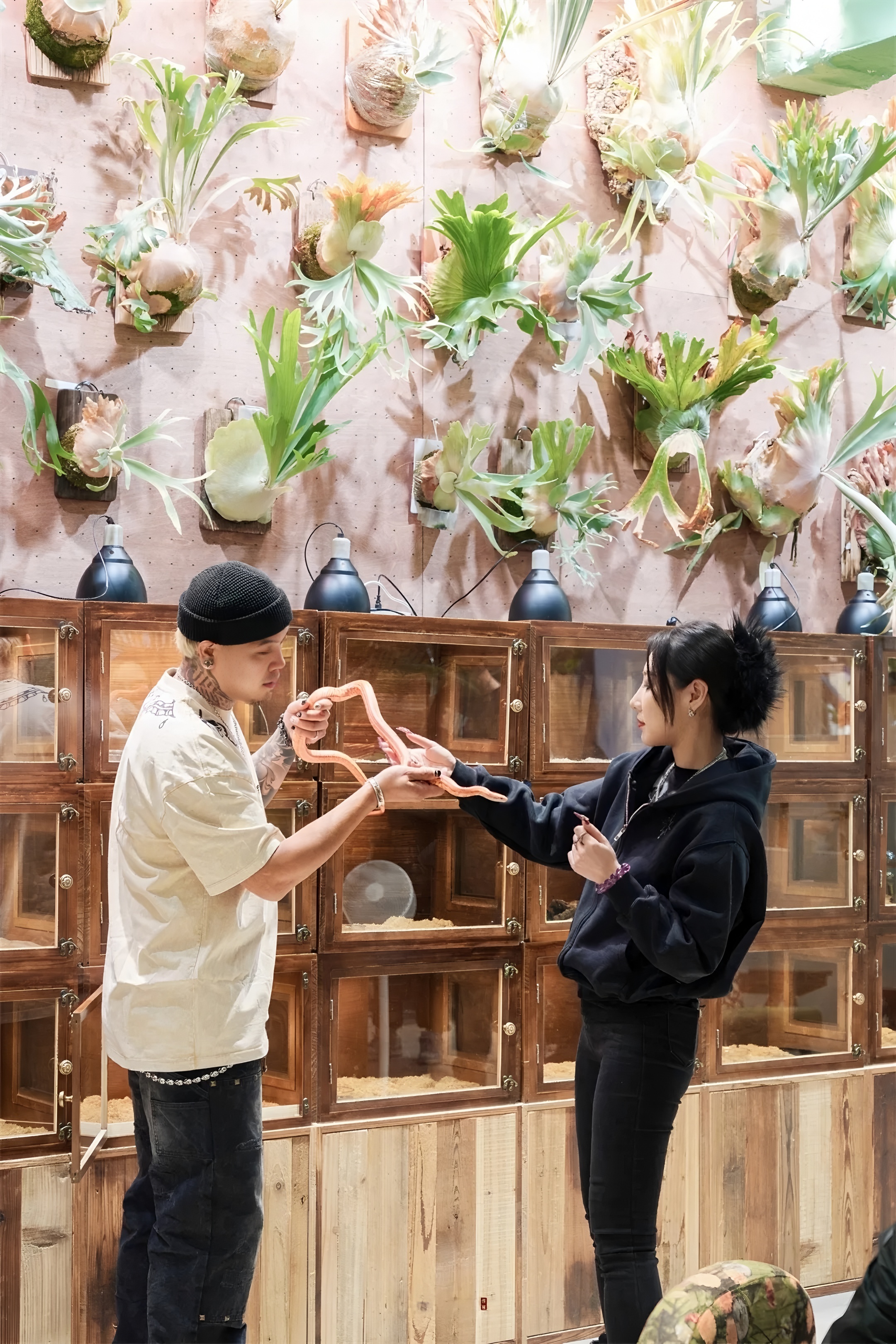 《绿觅 · 尾巴屋》西安宠物店丨中国西安丨陕西梁辰造物建筑设计-20