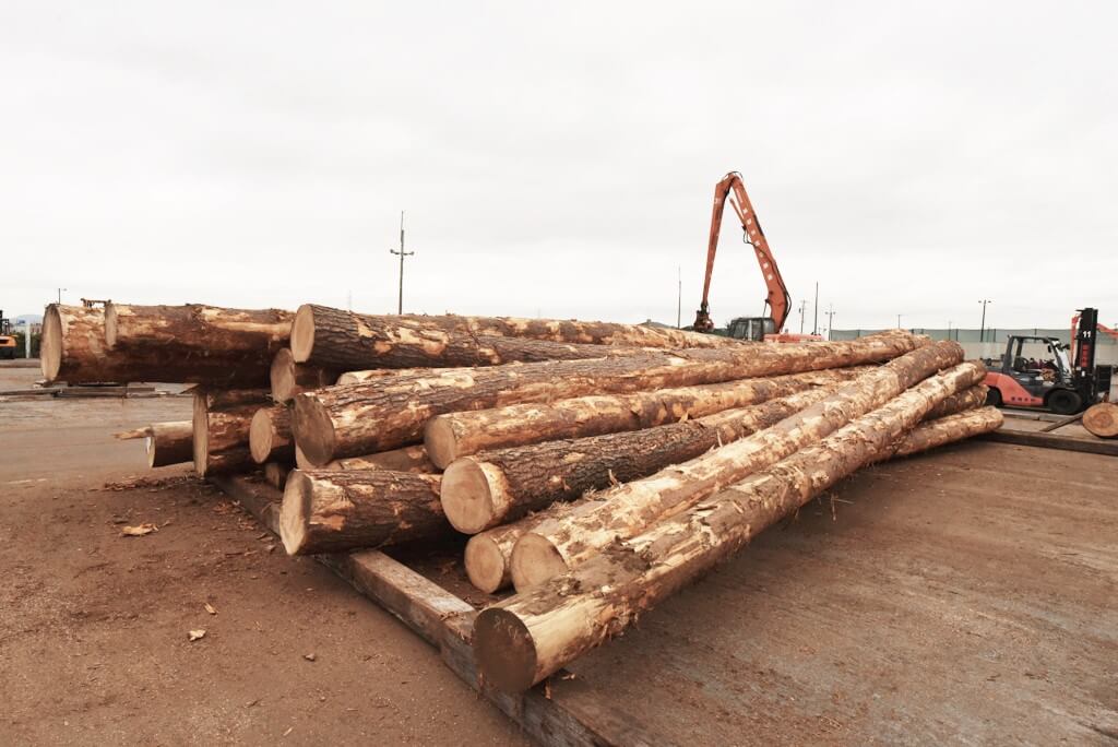 風の森の土壁４ 建筑士市场买木材用于设计项目丨水野设计室-8
