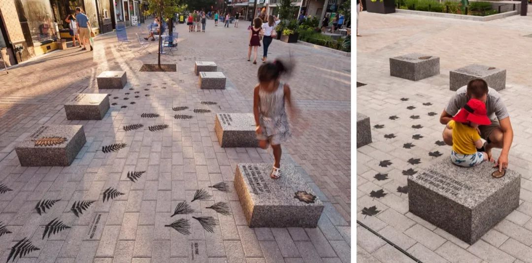 纽约伊萨卡公共空间改造 | 绿意盎然的活力中心-19