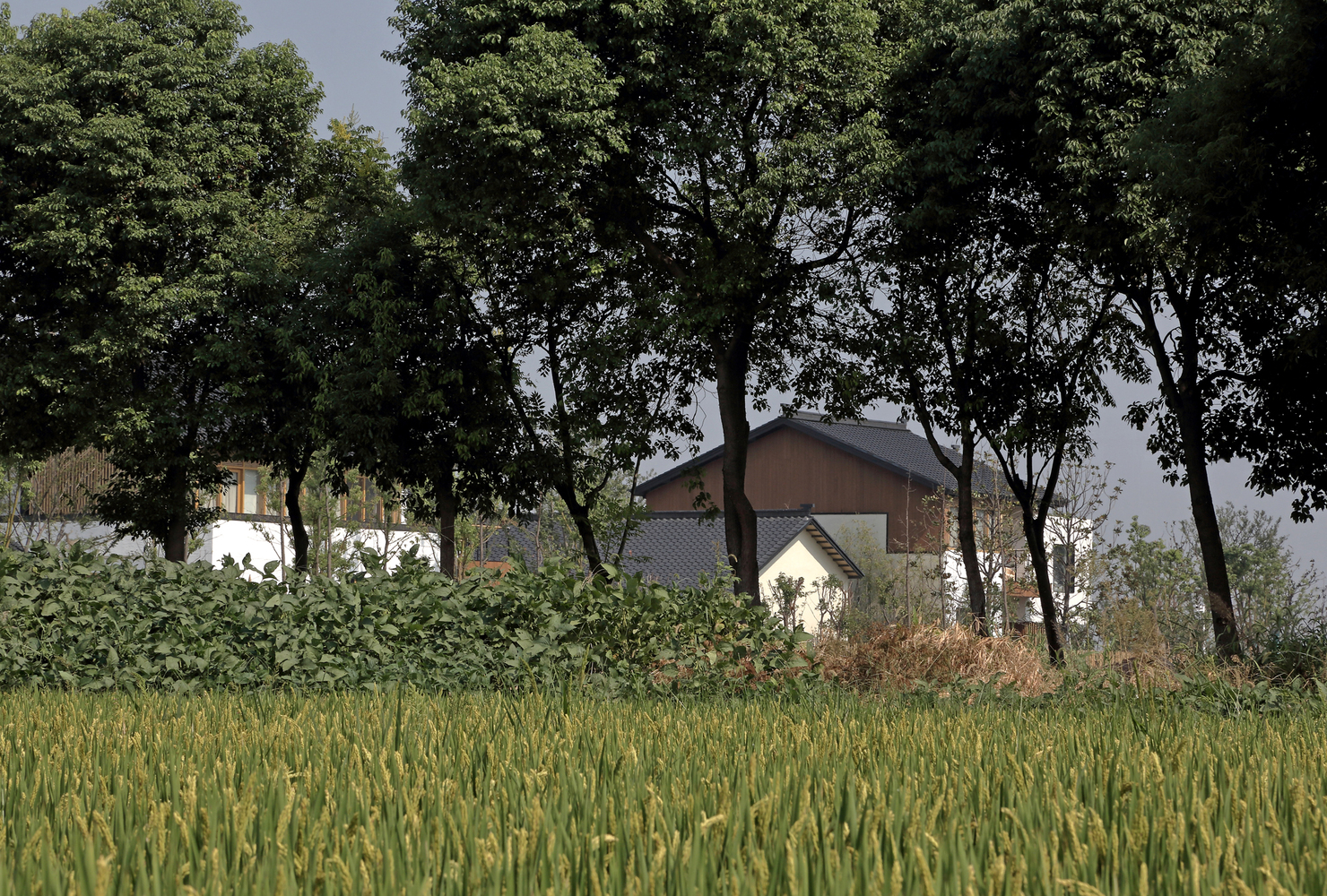 朱家店民宿学校-49