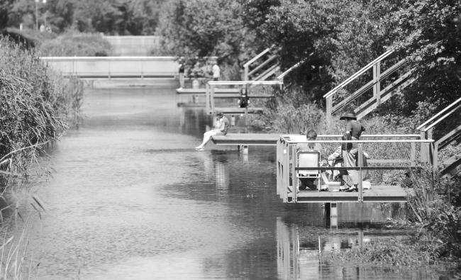 “老虎与乌龟”丨德国丨德国艺术家乌尔里希·根茨和海克·穆特-70