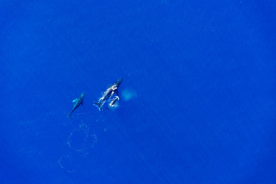 在 1000 英尺处-4