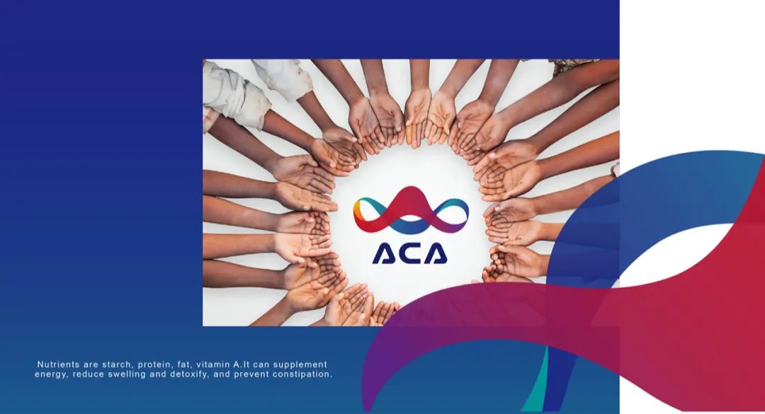 【非洲木薯联盟ACA】视觉形象设计-40