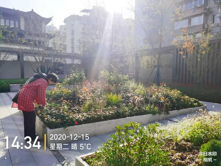 杭州绿城凤起潮鸣高层住宅景观项目丨中国杭州丨张唐景观-92