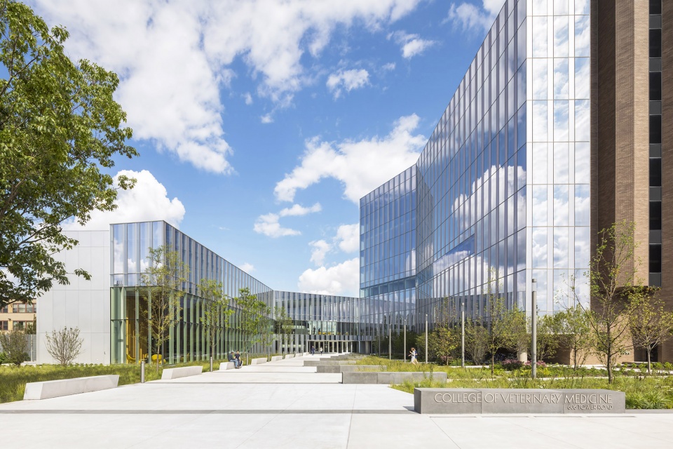 康奈尔大学兽医学院-3