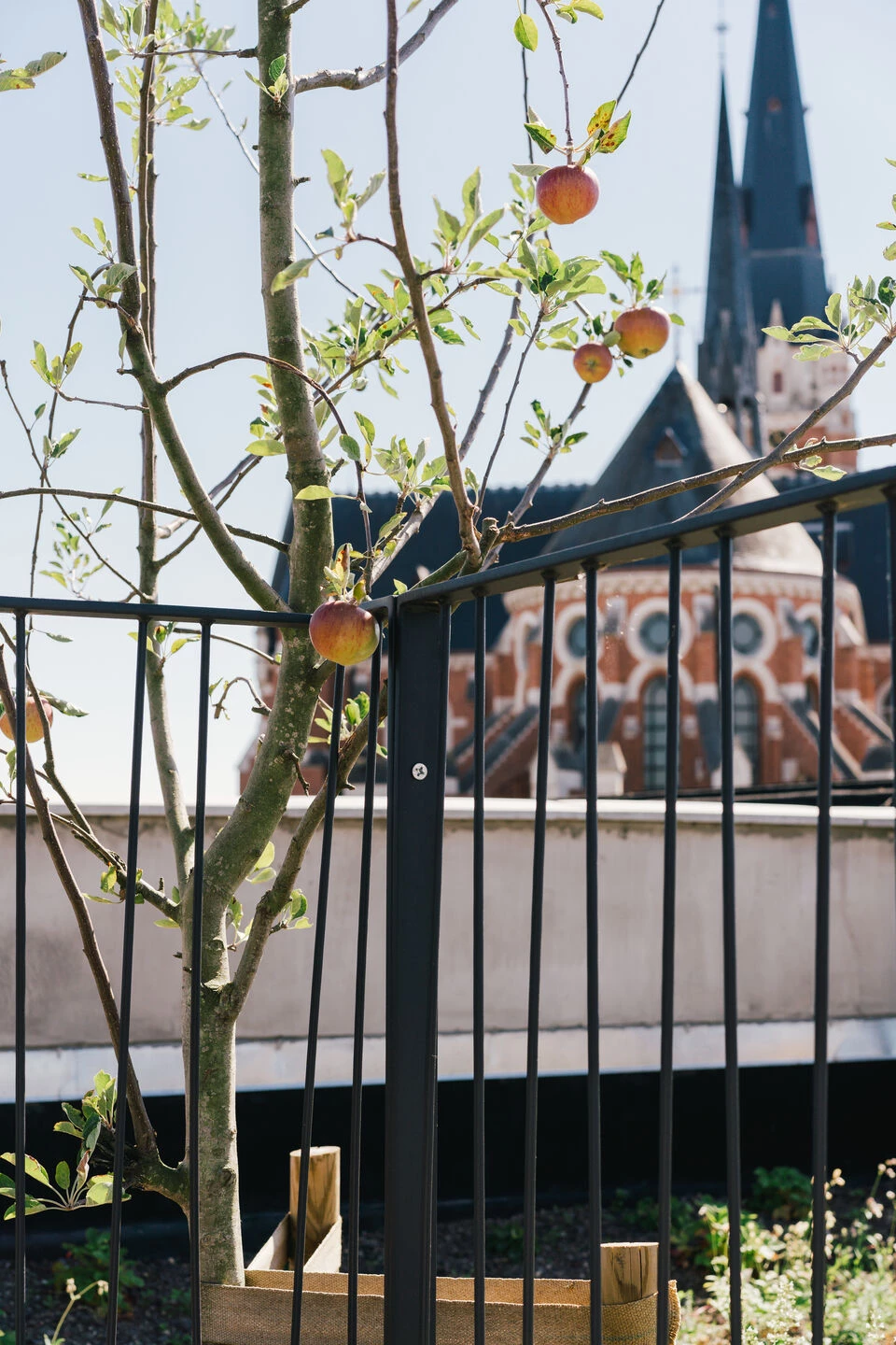 Q&K 之家丨比利时安特卫普丨Studio Toto-18