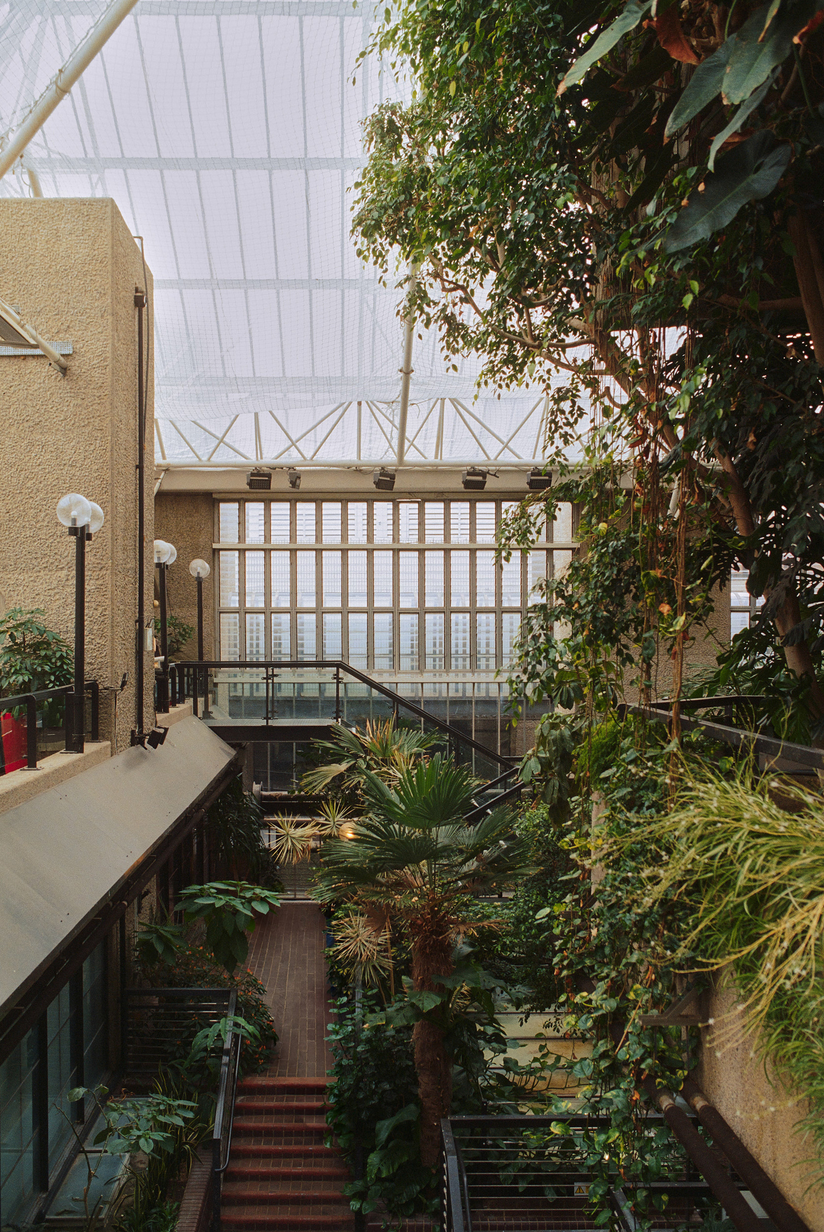 巴比肯温室丨英国伦敦-6