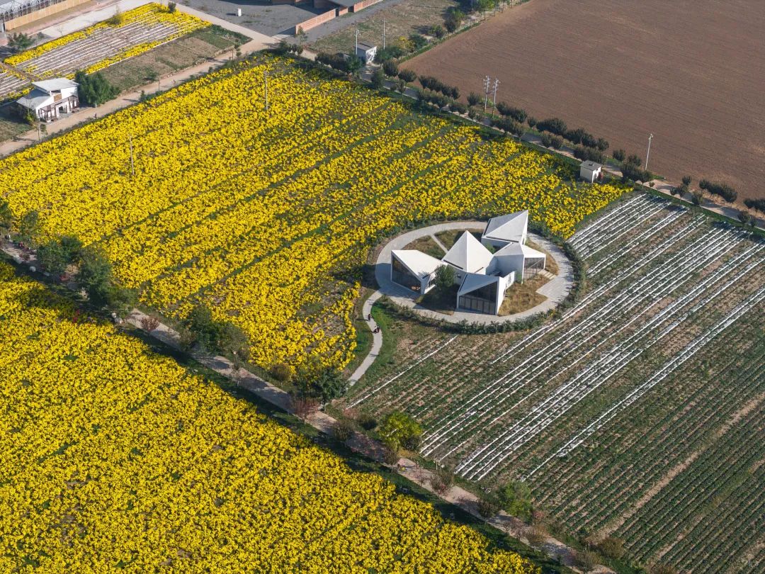 云台山冰菊花田书馆丨中国焦作丨一树建筑工作室-31