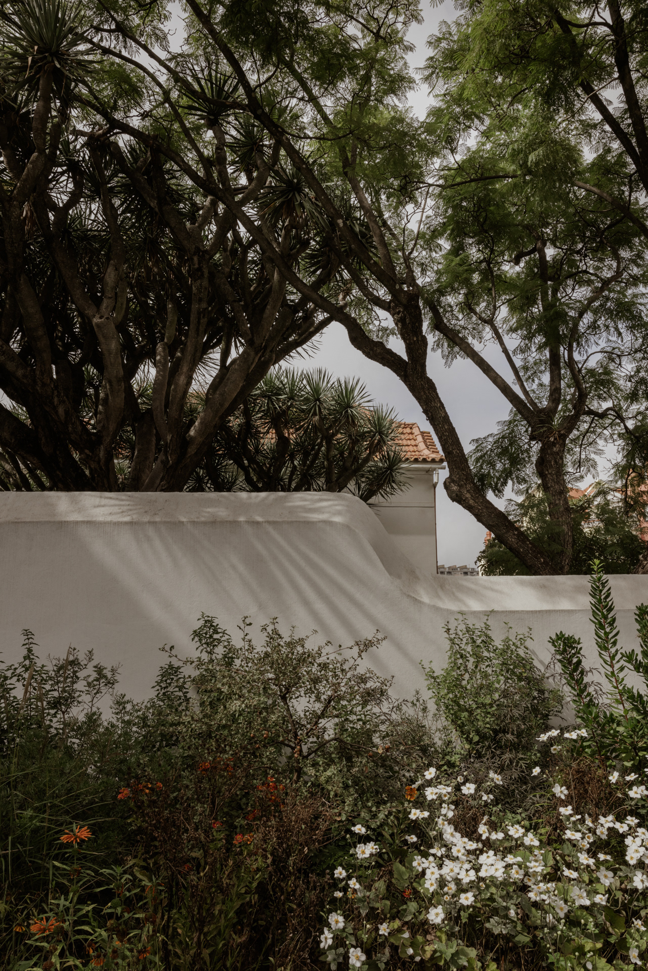 花园之家（Casa do Jardim）丨葡萄牙里斯本丨安娜贝尔·库图库（Annabell Kutucu）-56