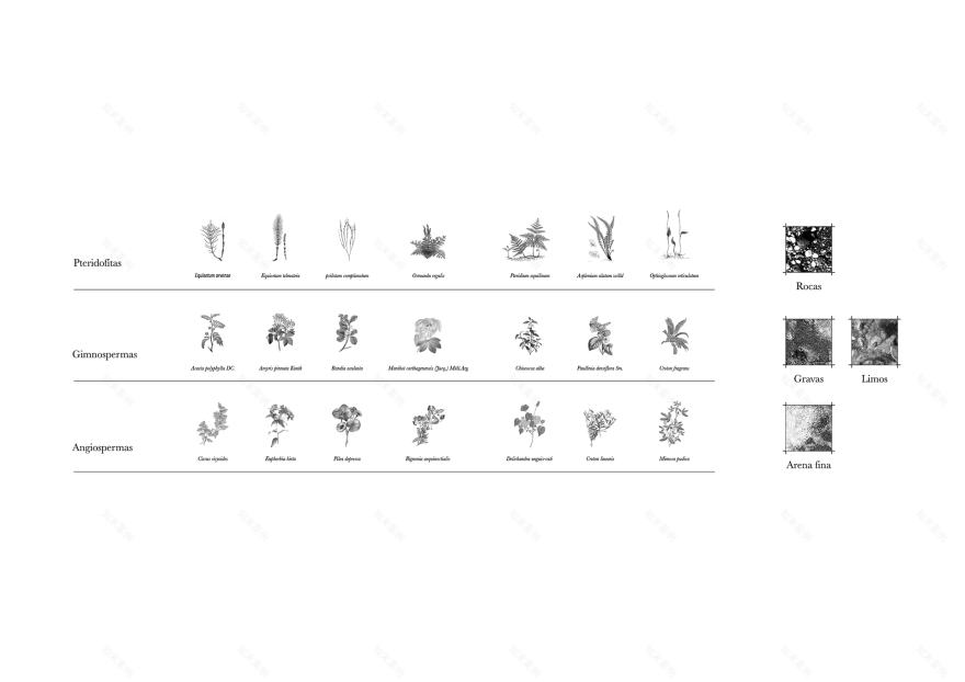 Sedimentos: Ecologías Performativas | Integrador Final-46