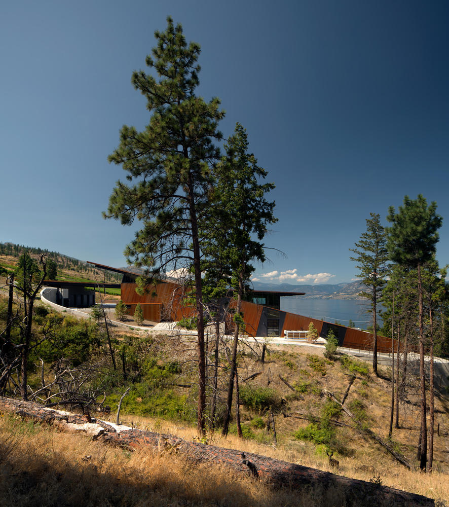 马丁巷酒庄·冯·曼德尔家族的重力酿酒传奇-48