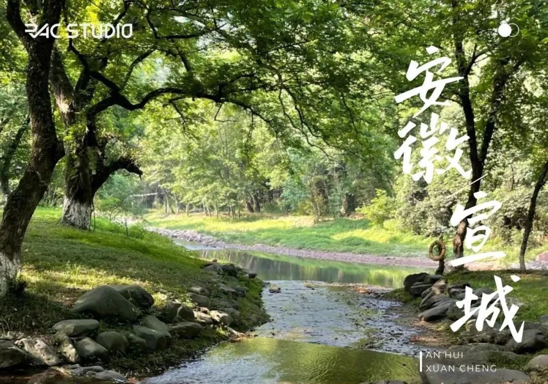暑假背提-湖州&宣城搭建回顾|从露营地木构到茶山森林装置，探索自然与建造的共生-84
