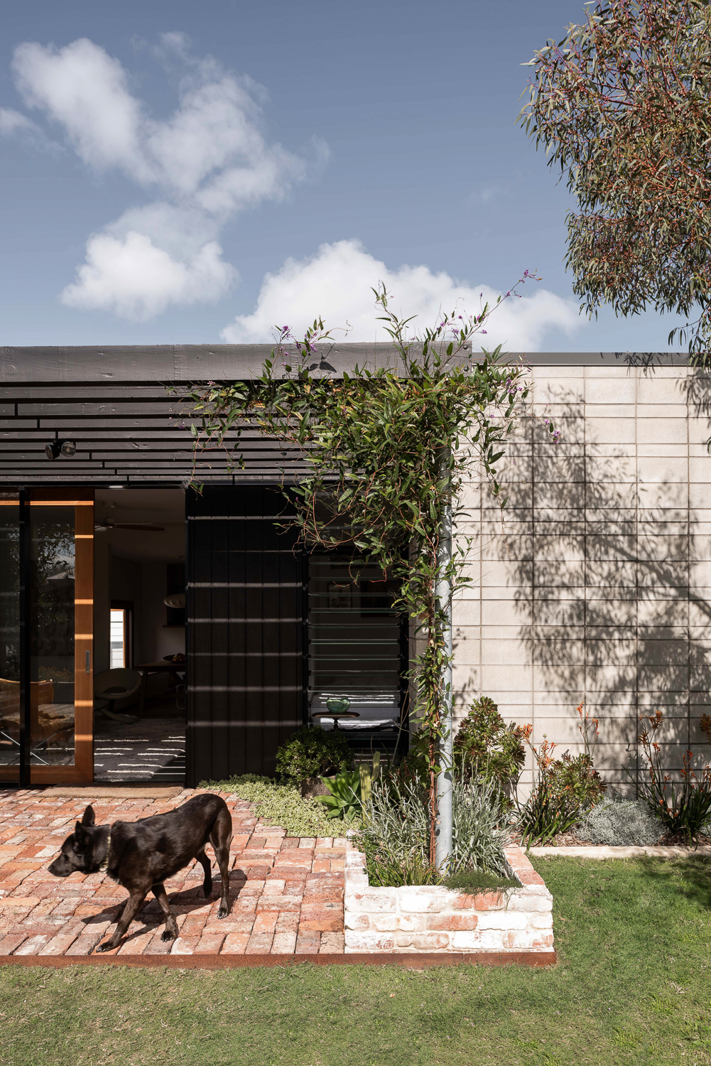 Bayswater House Robeson Architects-1