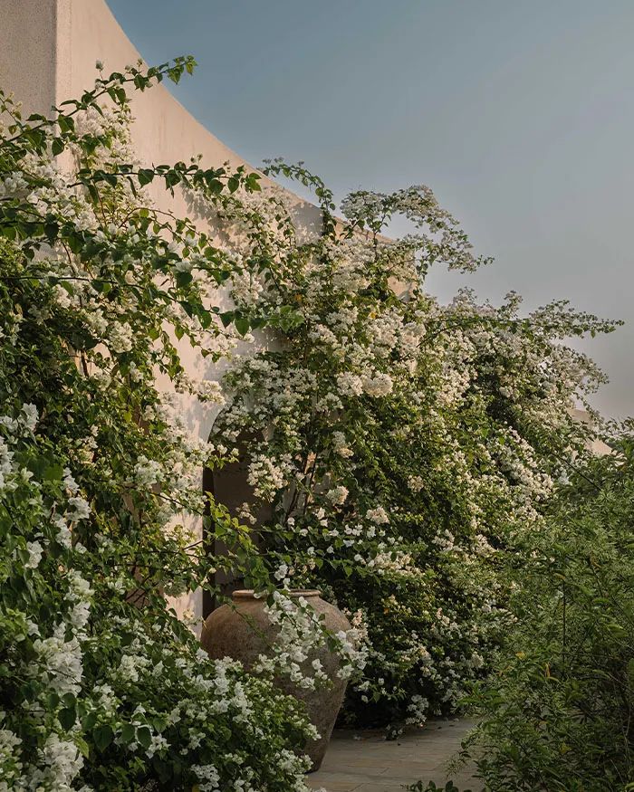 DUA Villa丨印度尼西亚丨Architecture BRIO Kunal Maniar-3