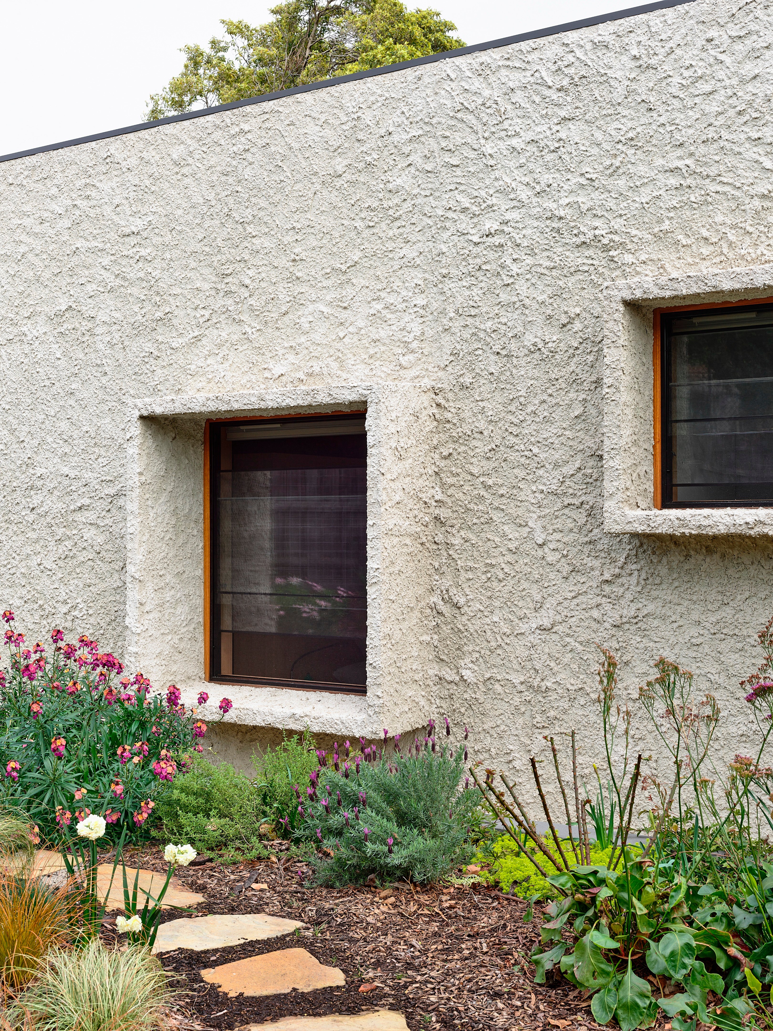 当地住宅丨澳大利亚丨Zen Architecture-3