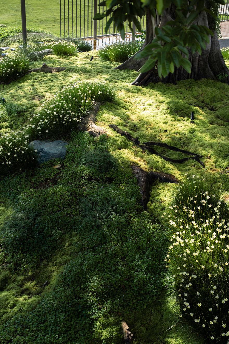 宝华智造产业园丨中国佛山丨成都无囿景观设计有限公司,佛山至岸园林-26