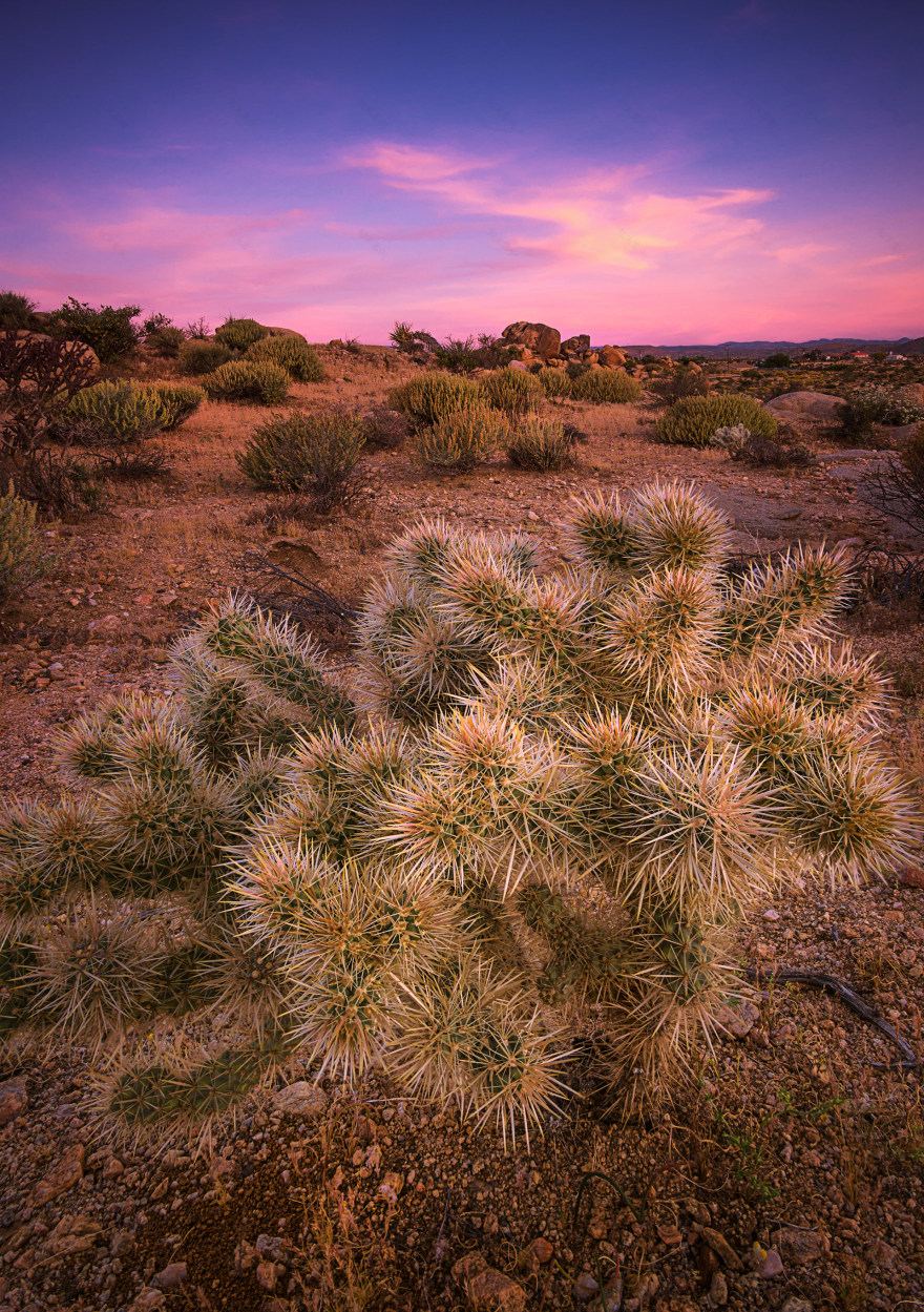 西南之旅丨美国-7