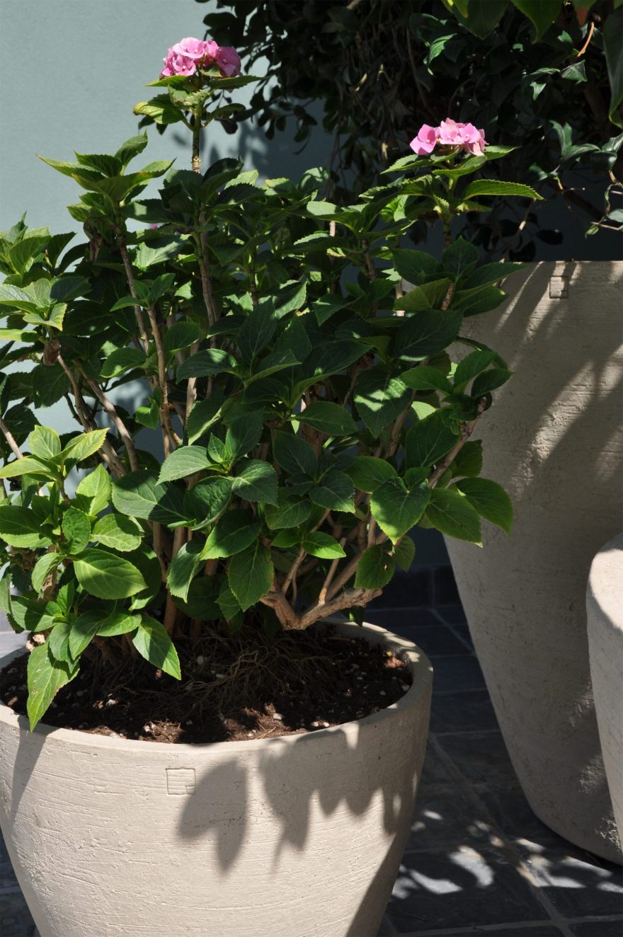 一座充满当代美学的私人花园丨Pool landscape-24