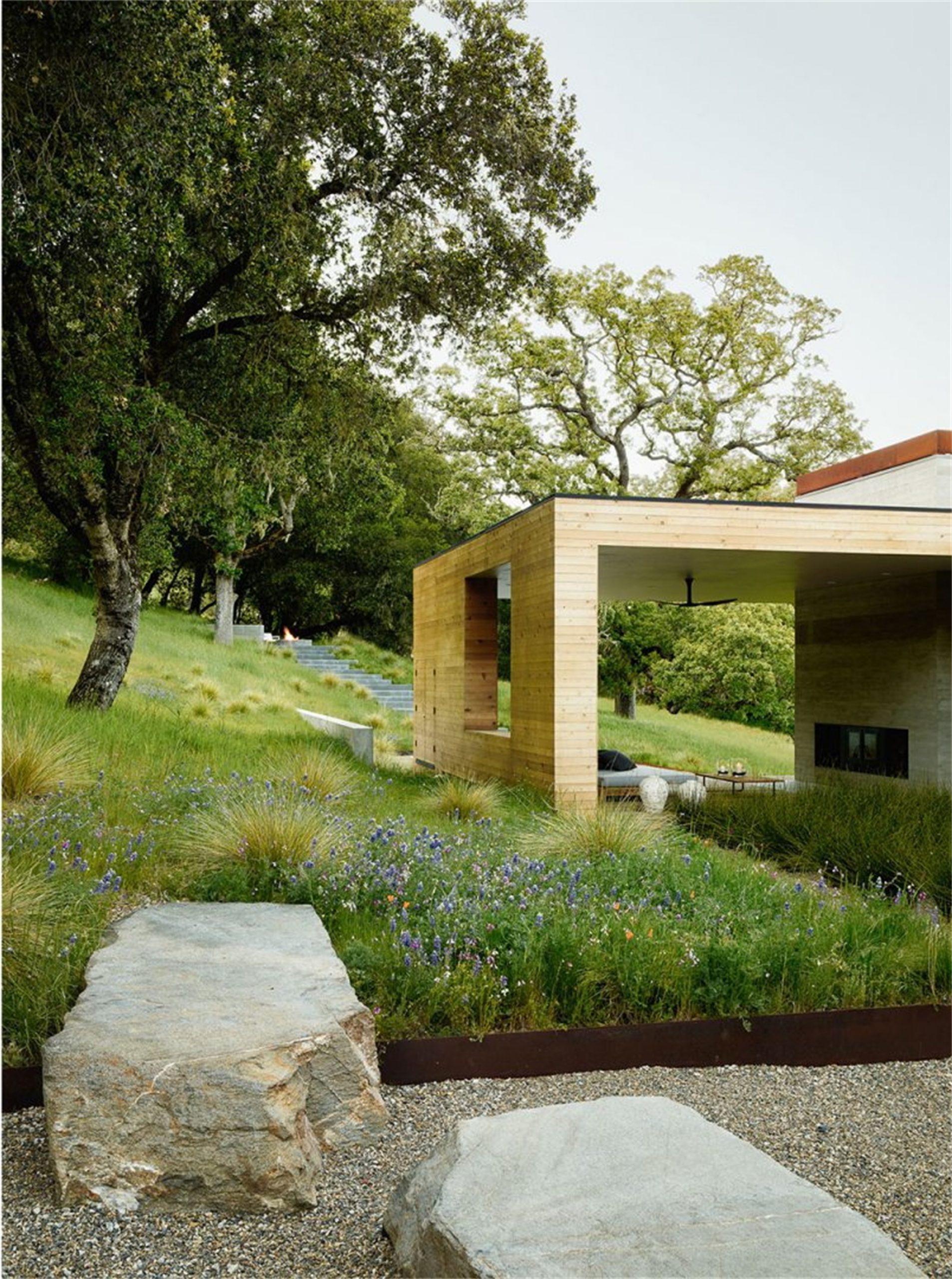 自然生长 · 私宅景观丨美国加利福尼亚-46