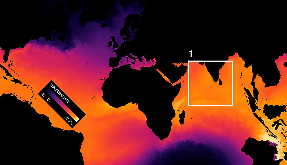 Ocean Intelligence展览丨意大利丨CRA-Carlo Ratti Associati-69