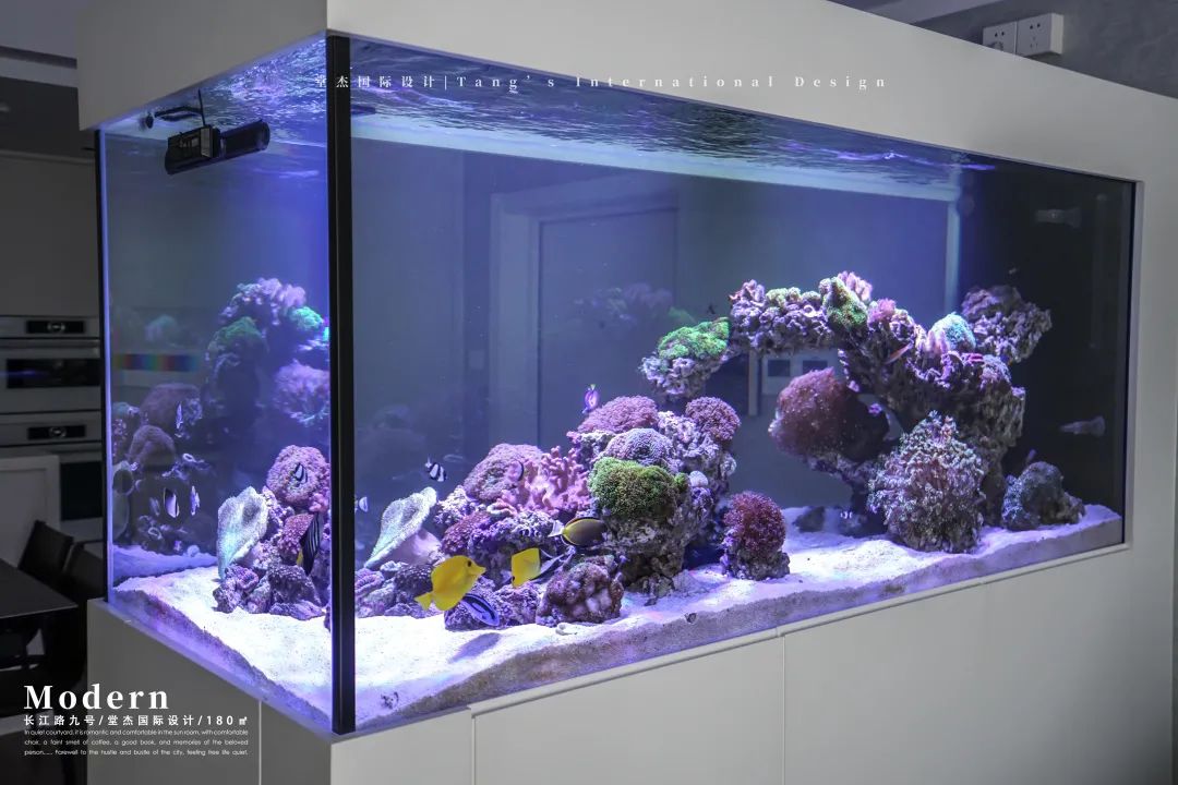 南京海底世界私宅设计丨中国南京丨堂杰国际设计-21